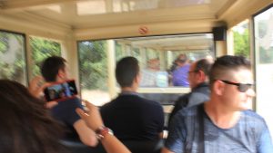 Excursión de gastroturismo a Sueca