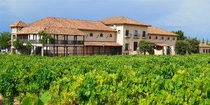 Gran premio internacional del vino MUNDUS VINI 2016 PARA Sierra Norte