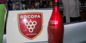 celebra la vida con Bocopa