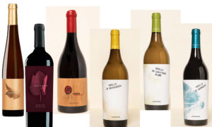 Seis vino de Vegamar por encima de los 90 puntos en la Guía Intervinos