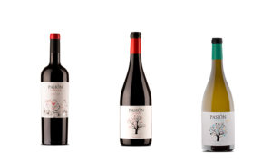 Sierra Norte la Bodega más premiada por Proava en 2019